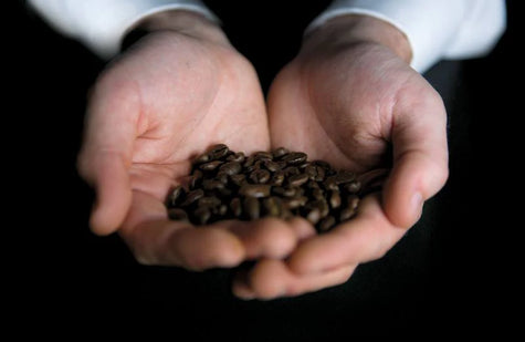 How to Store Coffee Beans Once Opened So They Stay Fresh