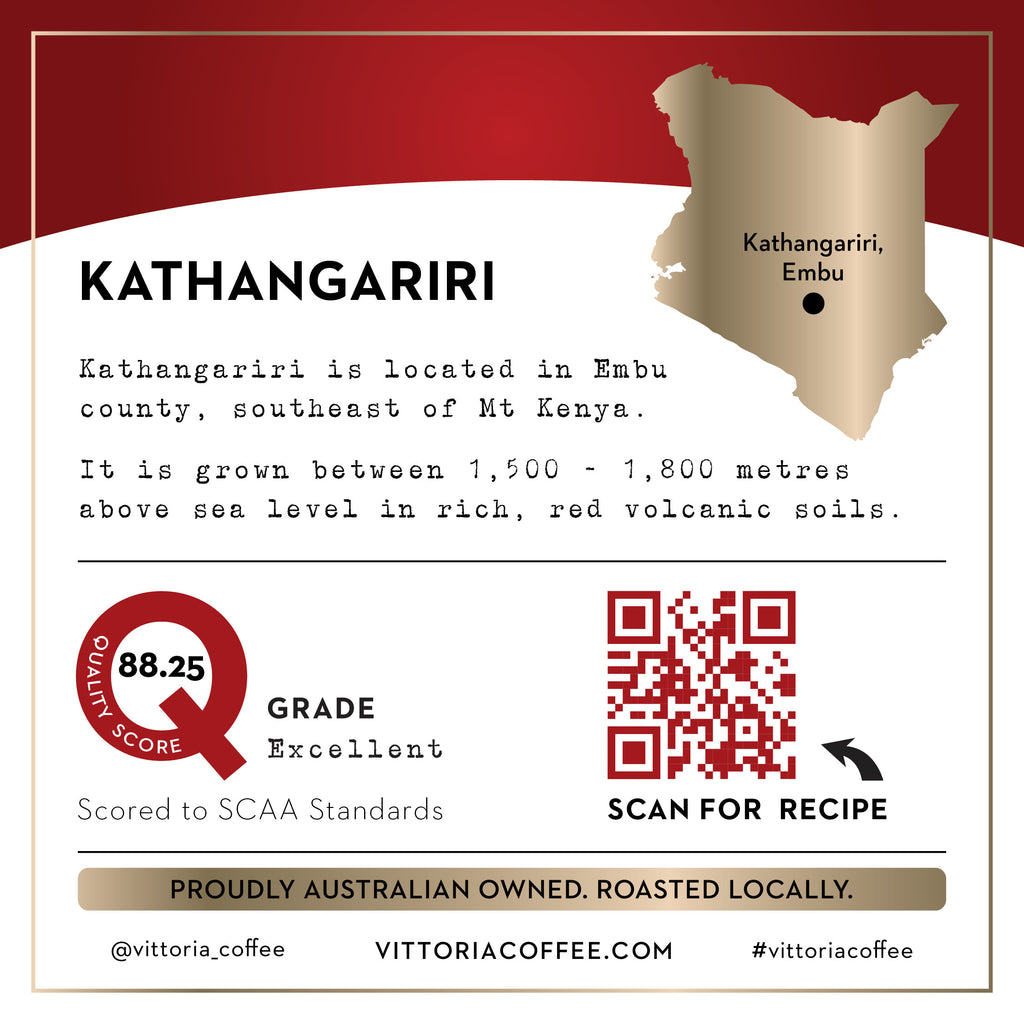 Vittoria Single Origin Kenya